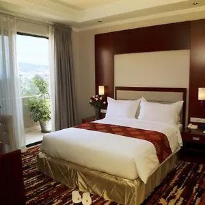 daamat-hotel.hotels-addisababa.com/